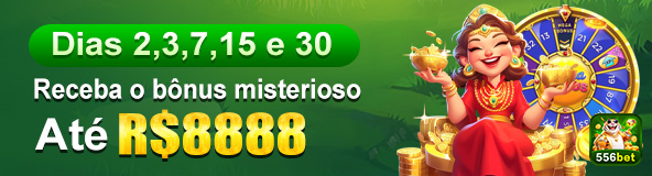 Plataforma Premium 556bet.com